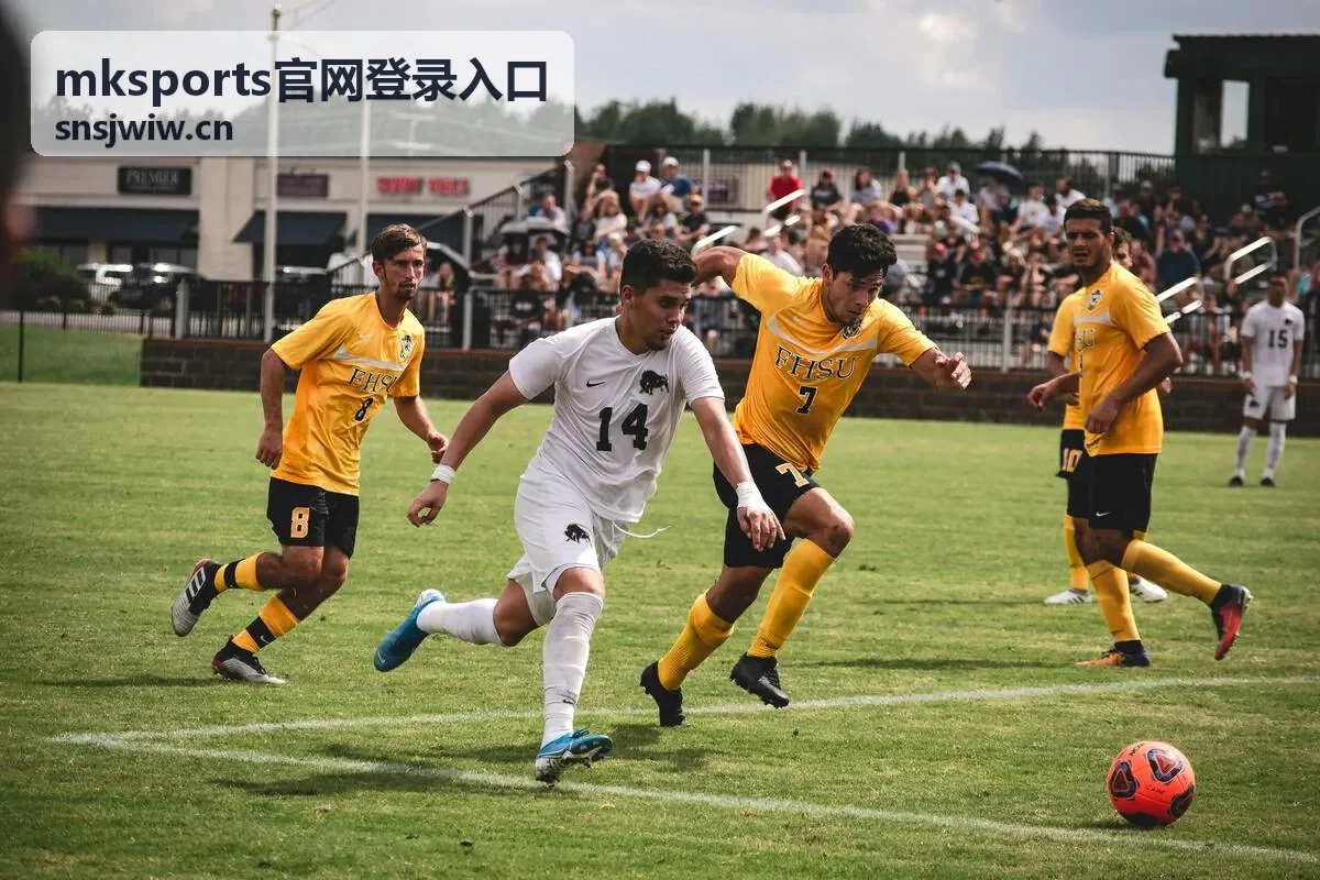 mksports官网登录入口账户安全设置